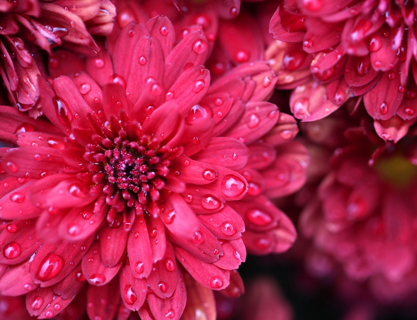 2021_FavoritePhotos_AW_37